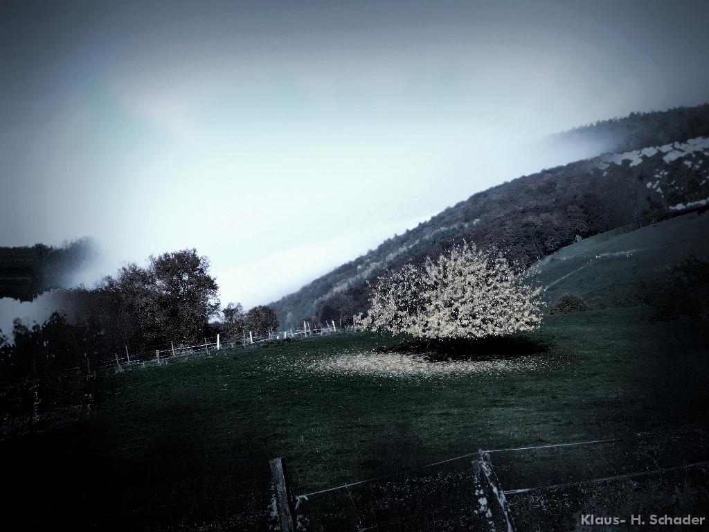 Nacht und Tag 45c
